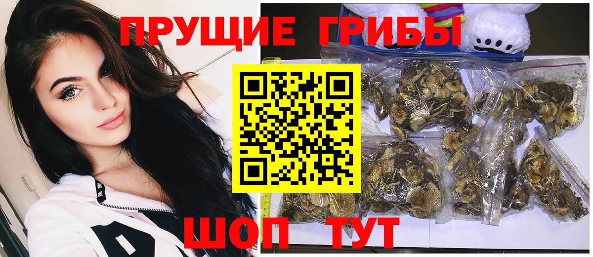 Псилоцибиновые грибы Magic Shrooms Бахчисарай