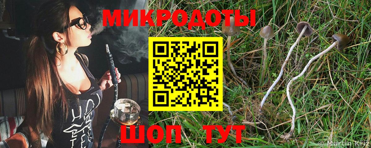 Галлюциногенные грибы прущие грибы  Псилоцибиновые грибы мицелий  Вход с VPN  Бахчисарай 